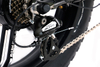 Fantas C20 750W 20inch electric fat tire bicycle foldable snow e-bike with bent frame