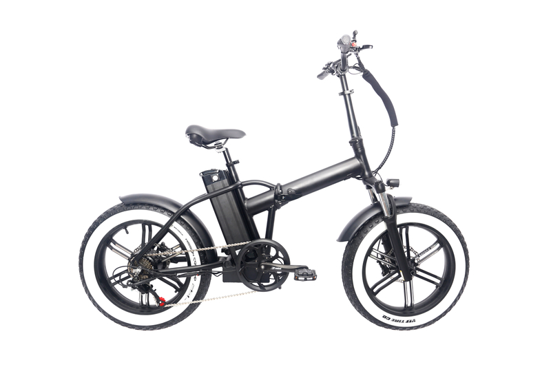 Fantas F20 good quality 750W 20inch electric fat tire bicycle foldable snow e-bike for adult