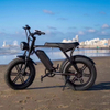 USA/EU warehouse 20 inches fat tires 48V750W15Ah lithium battery electric city bicycle e-bike for snow and beach