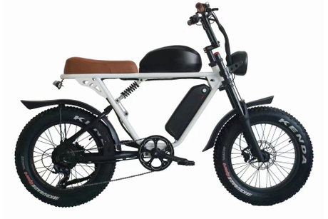 electric bike, electric scotter 